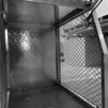 Half Dog Box - Image 2